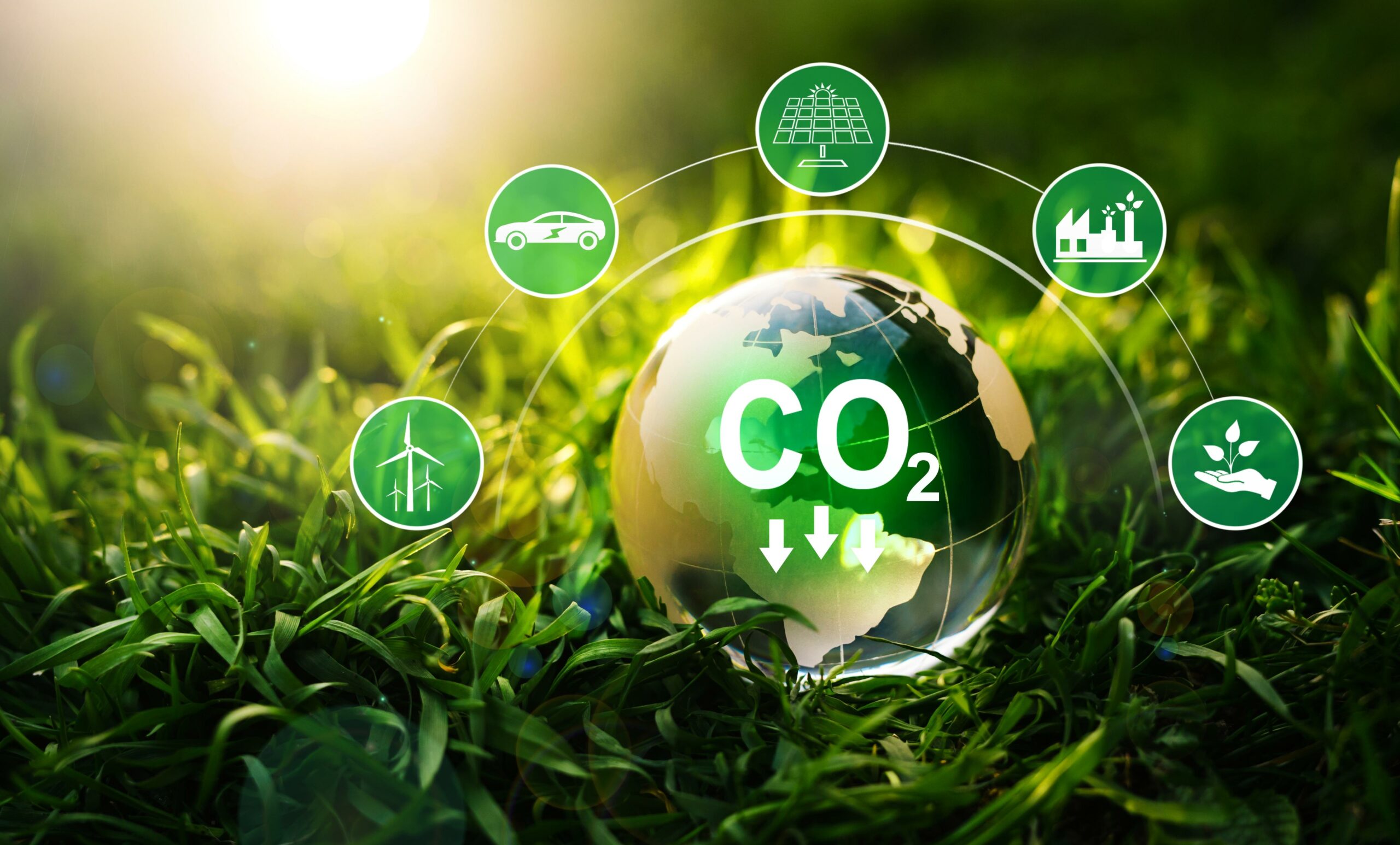 5 Ways to Reduce Energy Waste in 2025