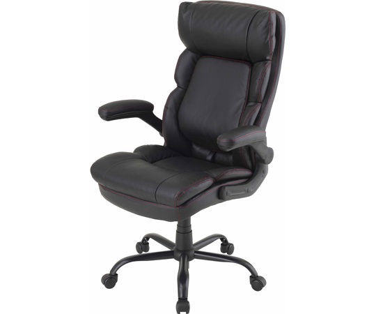 DOSHISHA RSPC-BK Movable lumbar support chair