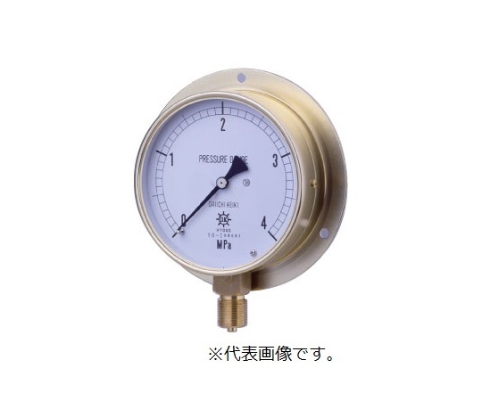 Daiichi Keiki Seisakusho 0354-02-0040690 HNT General Purpose Vacuum Gauge (G3/8B, -0.1～0MPA)