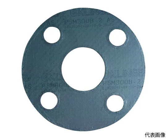 KLINGER PSM-10K-15A Expansion Graphite gasket (stainless steel with nail plate, 5 sheets)