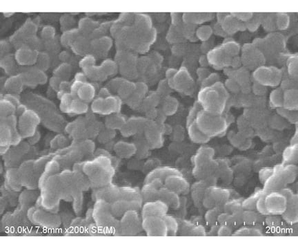 RMML 65-0502-85 Iron (III) oxide nanoparticles CAS No: 1309-37-1