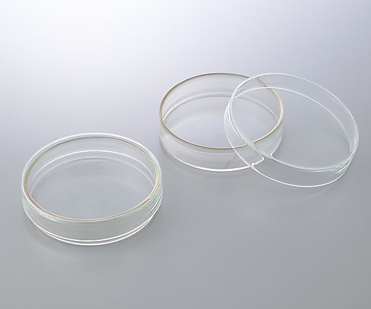 Đĩa Petri thủy tinh Borosilicate glass 3.3 φ80 x 17mm AS ONE 2-3977-02 3160072