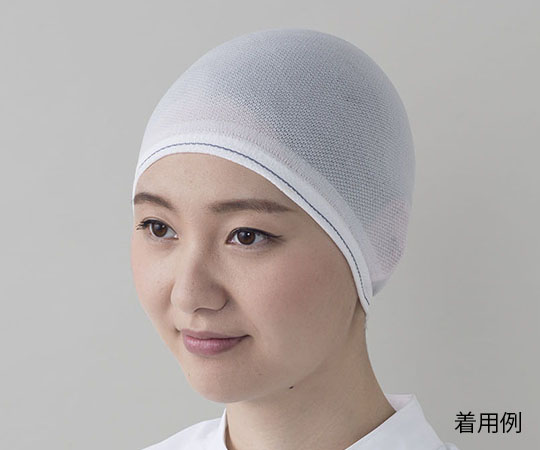 TOYO LINT FREE (AS ONE 4-852-01) Hair Drop Prevention Hair Net (Unisex) Bag Type 5 Pieces