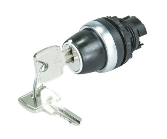 BACO L21LB00 Selector Switch 22mm