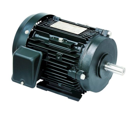 TOSHIBA  FBKK21E-4P-0.75KW High-efficiency motors Premium Gold motor (0.75KW, 4 poles)